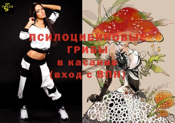 а пвп мука Абаза