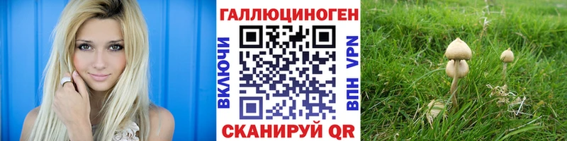 кракен как зайти  Кимовск  Галлюциногенные грибы Psilocybine cubensis  где можно купить наркотик 