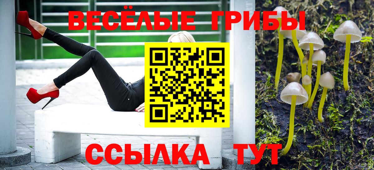 Псилоцибиновые грибы GOLDEN TEACHER  Вход с VPN  Кимовск 