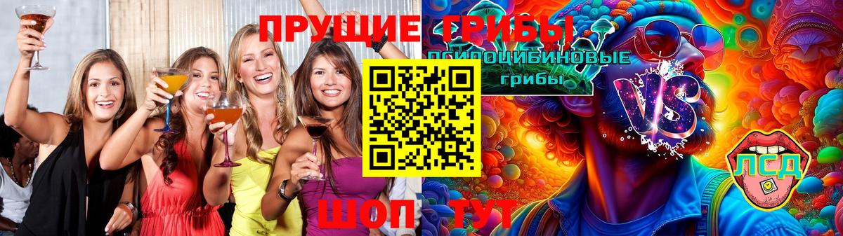 Псилоцибиновые грибы Psilocybe Кимовск